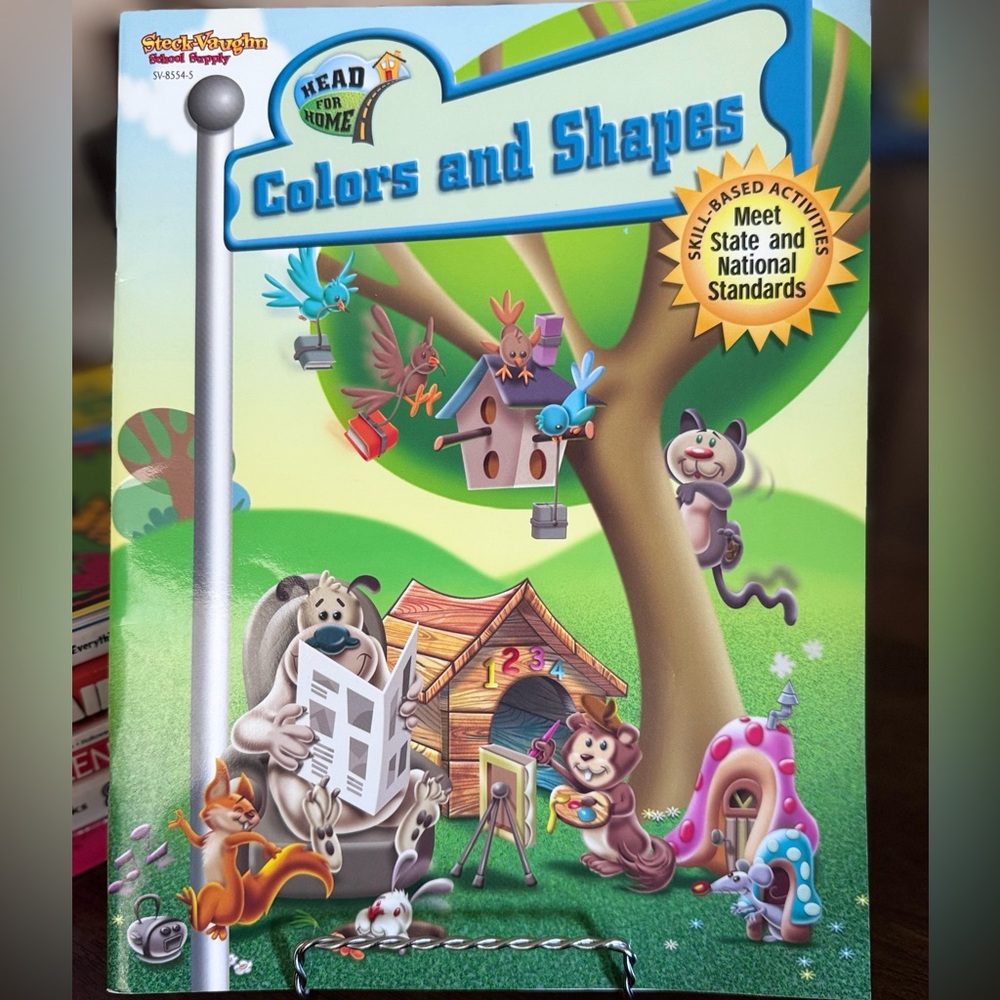 Steck-Vaughn Colors and Shapes Children's Activity Book (2004)